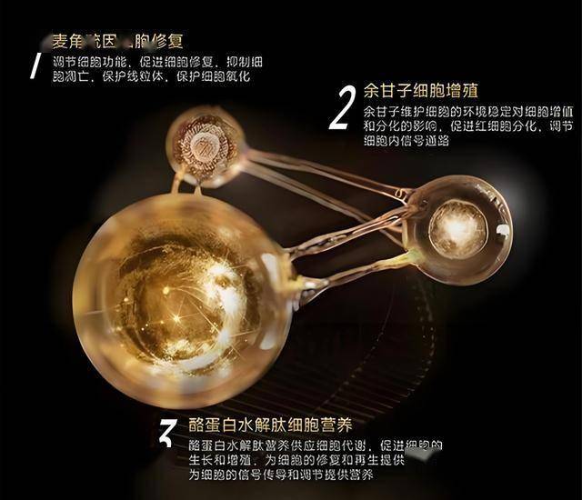 政府药监局：拥护化妆品原料创新